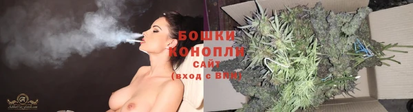 дурь Рославль