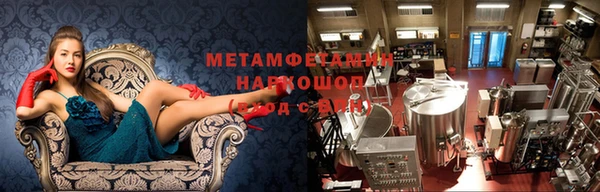 ECSTASY Алзамай