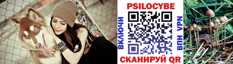 Галлюциногенные грибы мухоморы  Ишим 